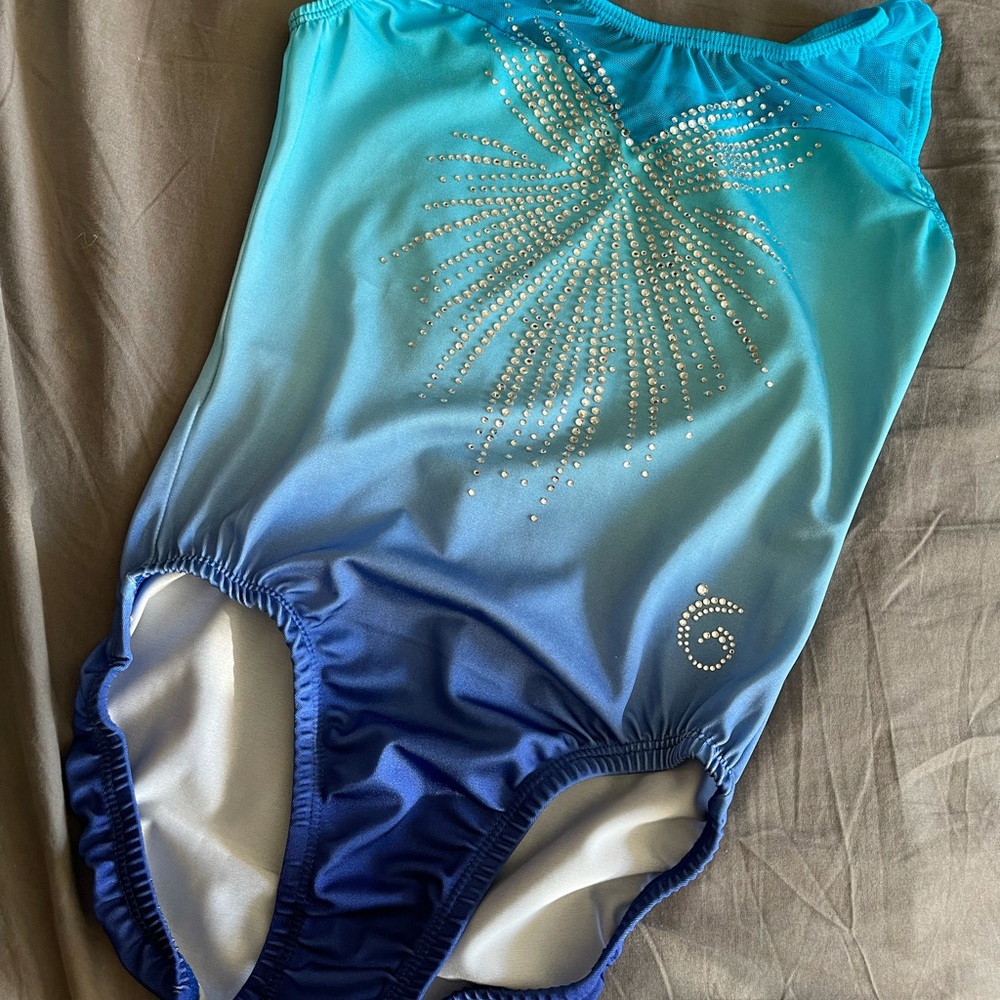 Garland Blue Ombré Leotard